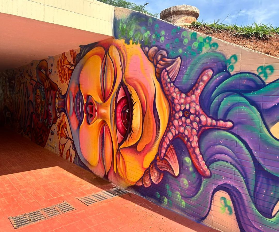 Painel coletivo de grafiteiros do DF dá cara nova à passagem subterrânea da 103/104 Norte