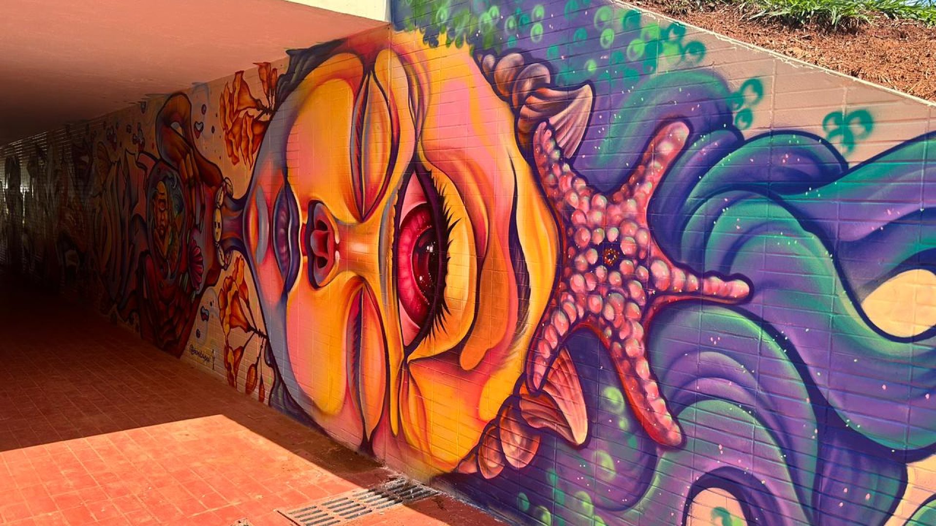 Painel coletivo de grafiteiros do DF dá cara nova à passagem subterrânea da 103/104 Norte