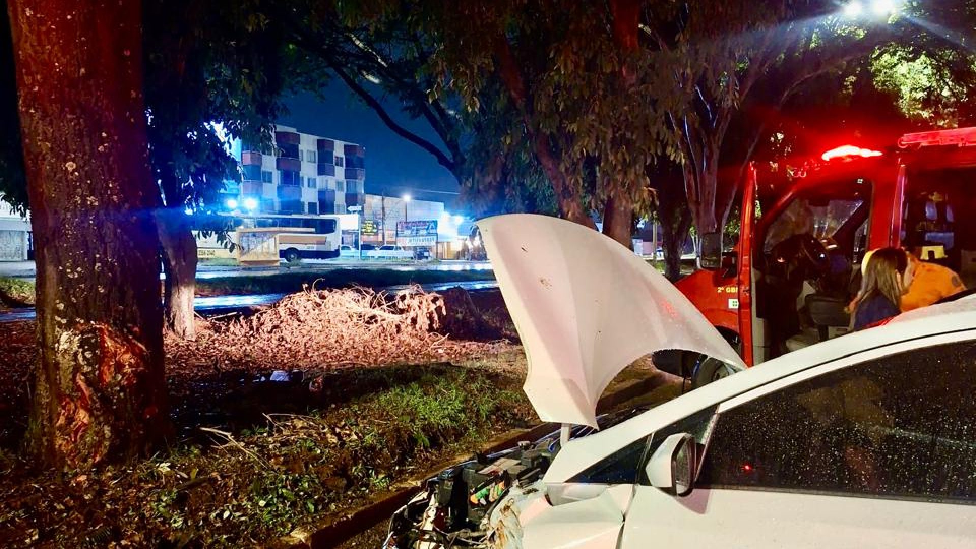 CBMDF é acionado após veículo colidir com árvore em Taguatinga