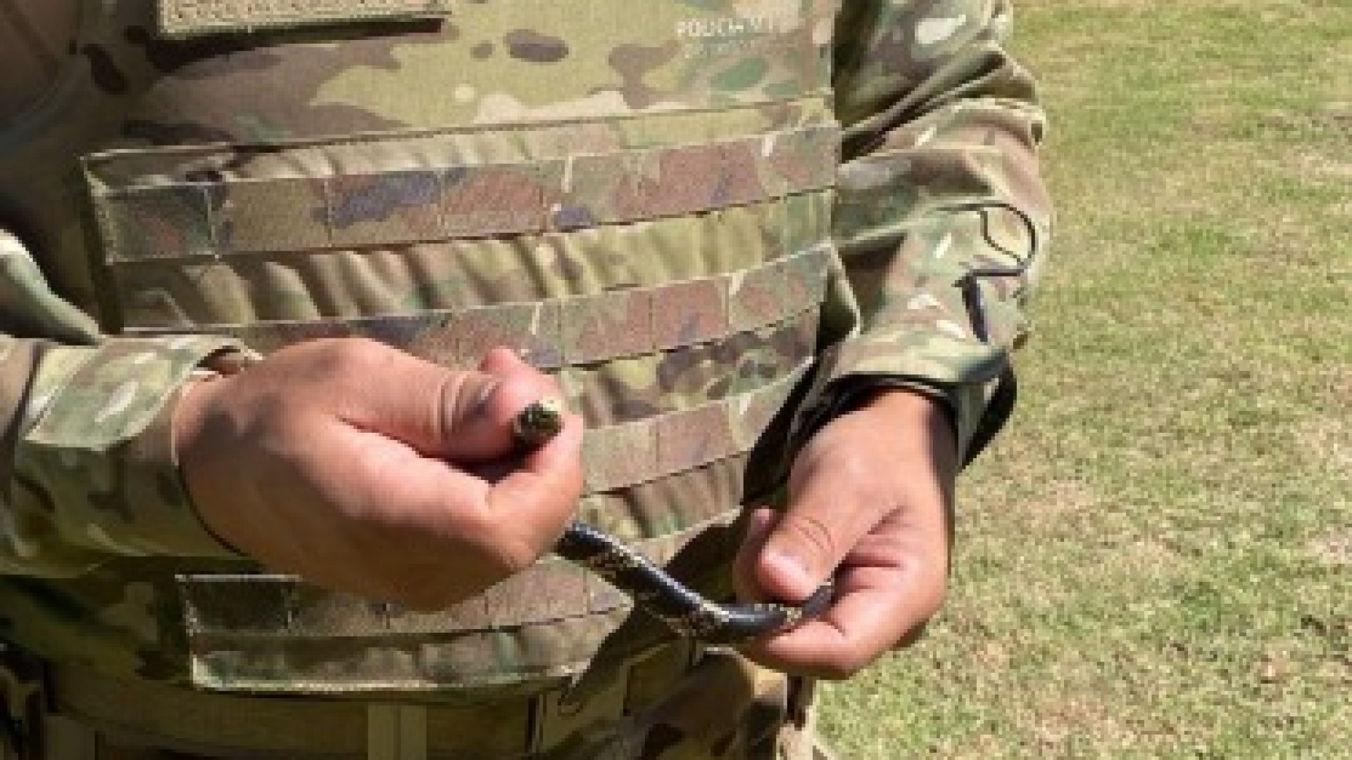 PM Ambiental resgata serpente em residência