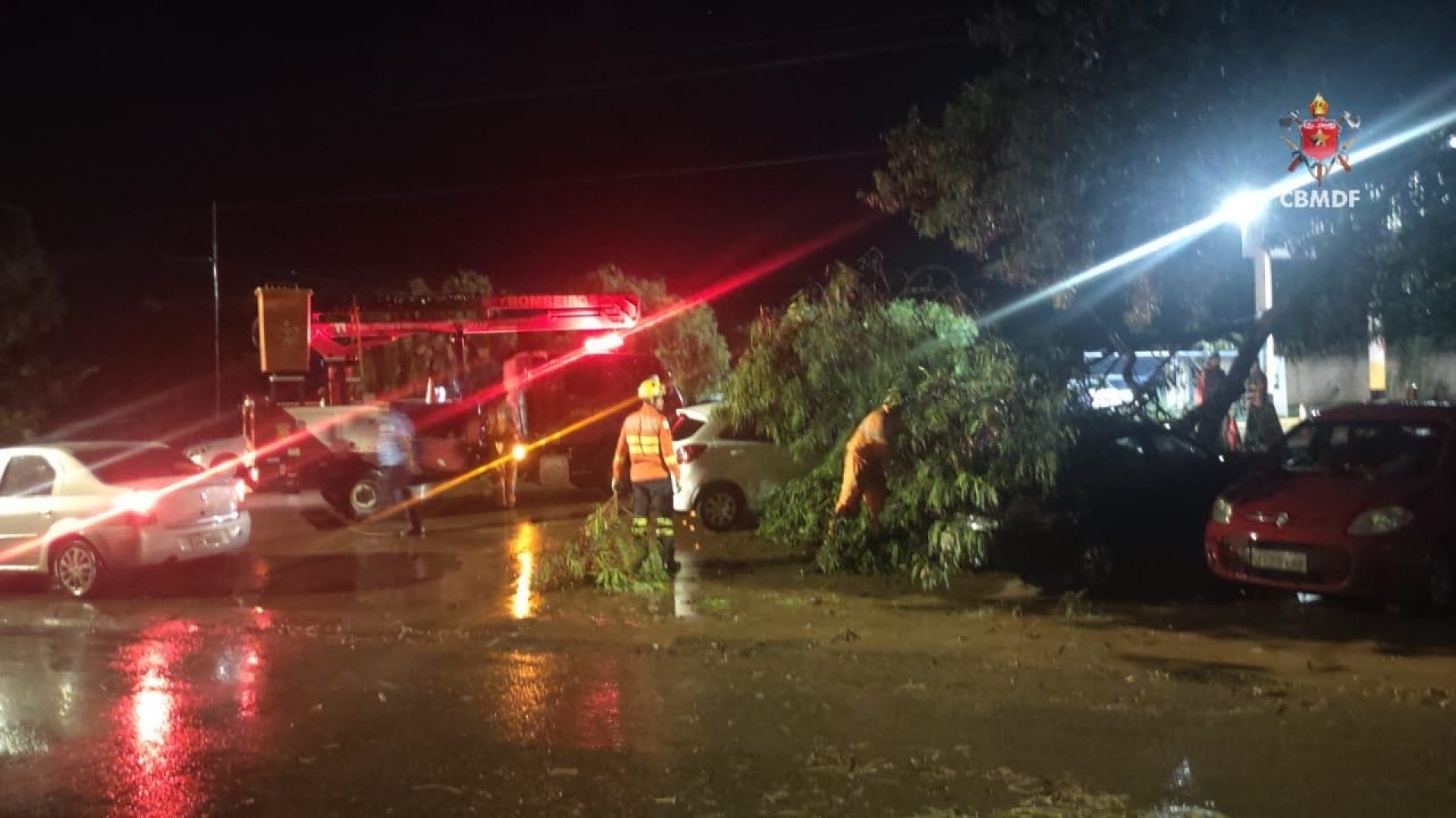Queda de árvore atinge carros e bloqueia via na Vila Buritis II