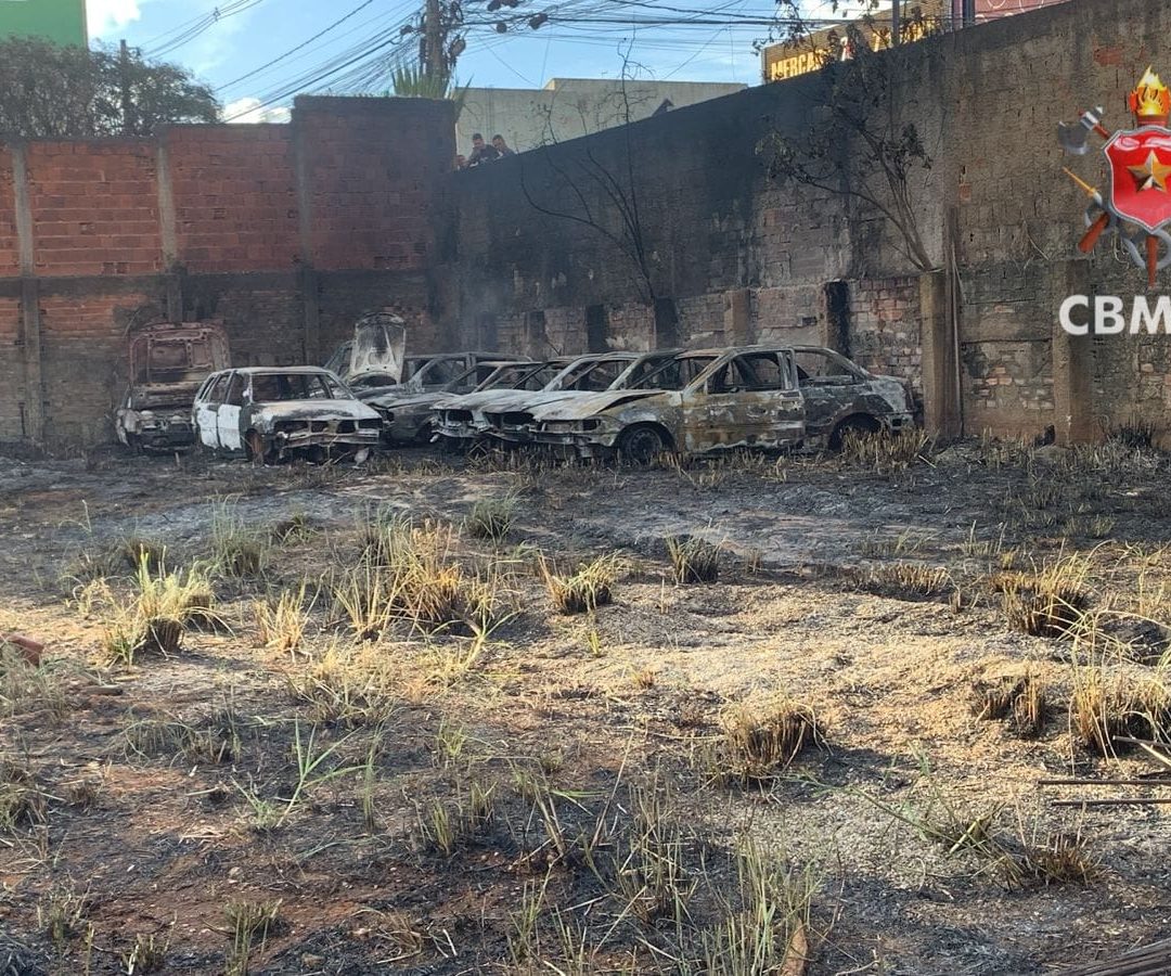 Incêndio em vegetação atinge veículos e mobiliza bombeiros em Vicente Pires