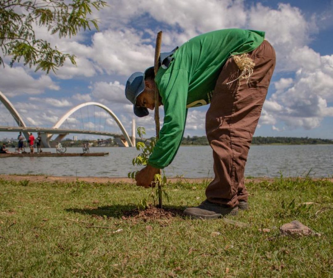 Prazo para propostas no Recupera Cerrado II é prorrogado até fevereiro de 2026