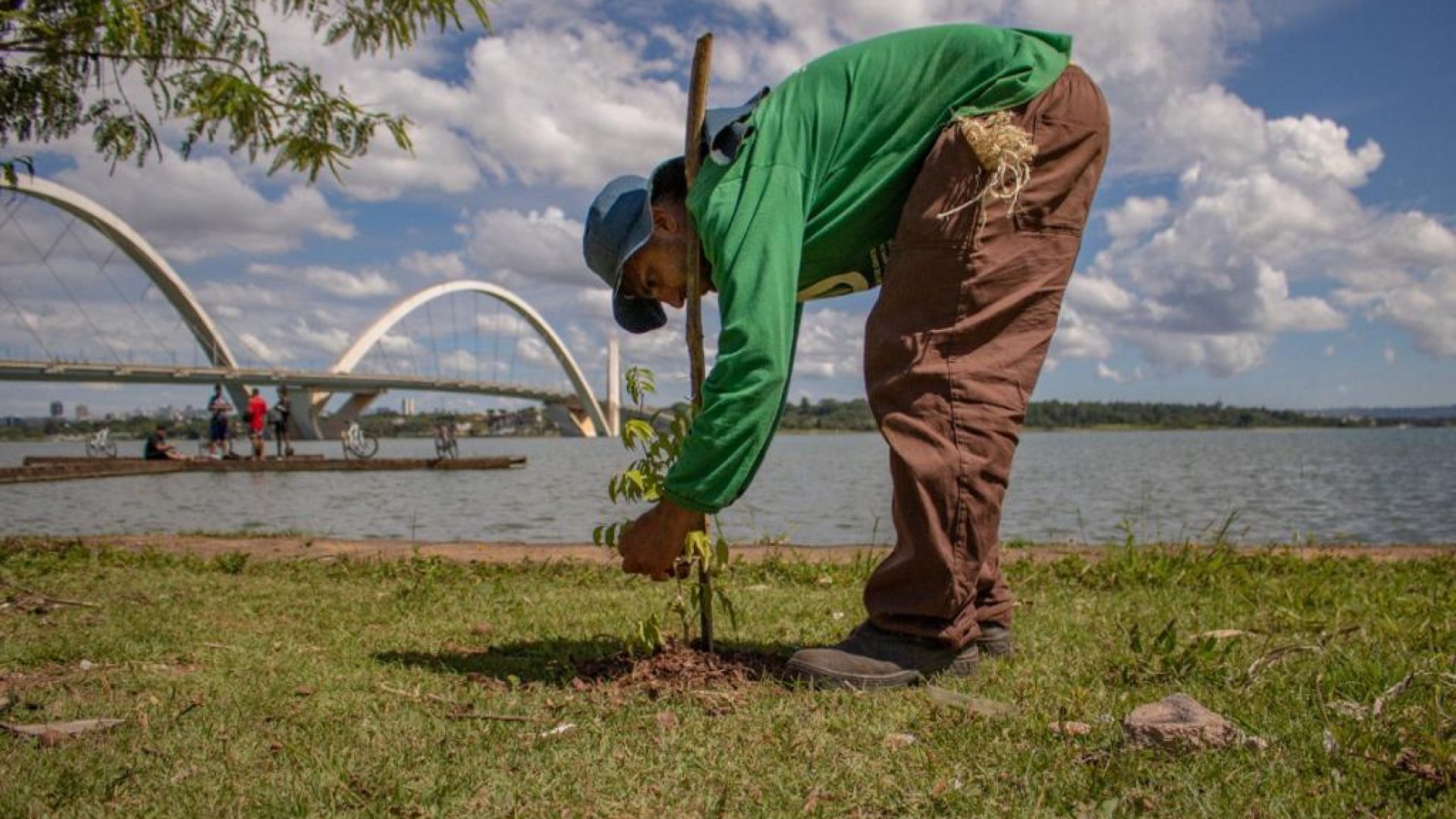Prazo para propostas no Recupera Cerrado II é prorrogado até fevereiro de 2026