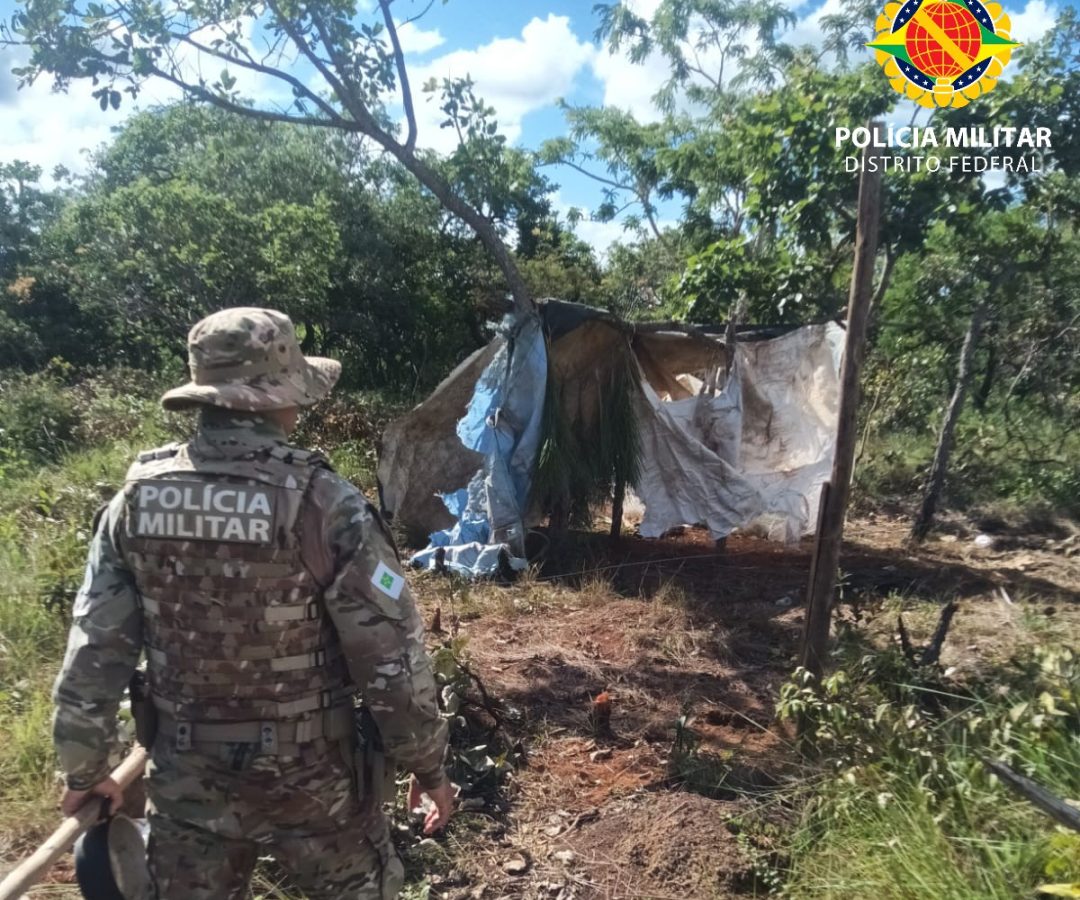 Polícia prende suspeito após novo avanço de ocupação ilegal em área de Cerrado