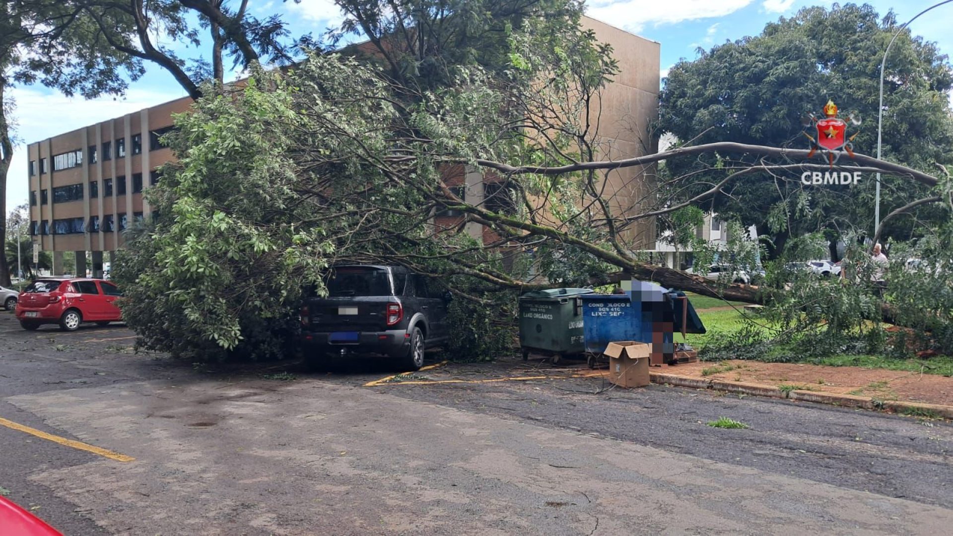 Bombeiros atendem 15 ocorrências de quedas de árvores neste sábado (31)