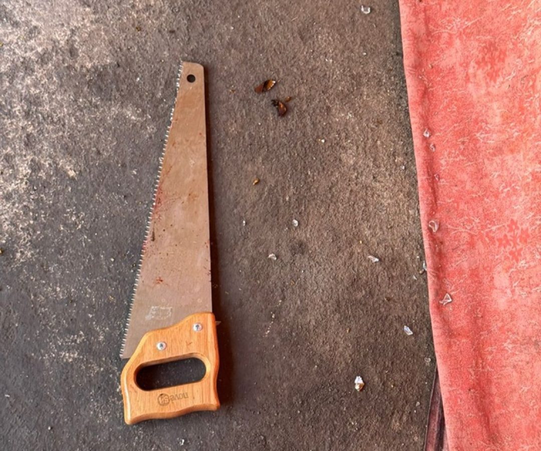 Mulher de 73 anos é gravemente ferida pelo próprio filho em Ceilândia