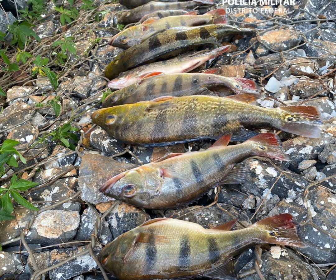 Dois homens são presos por pesca predatória no Lago Paranoá