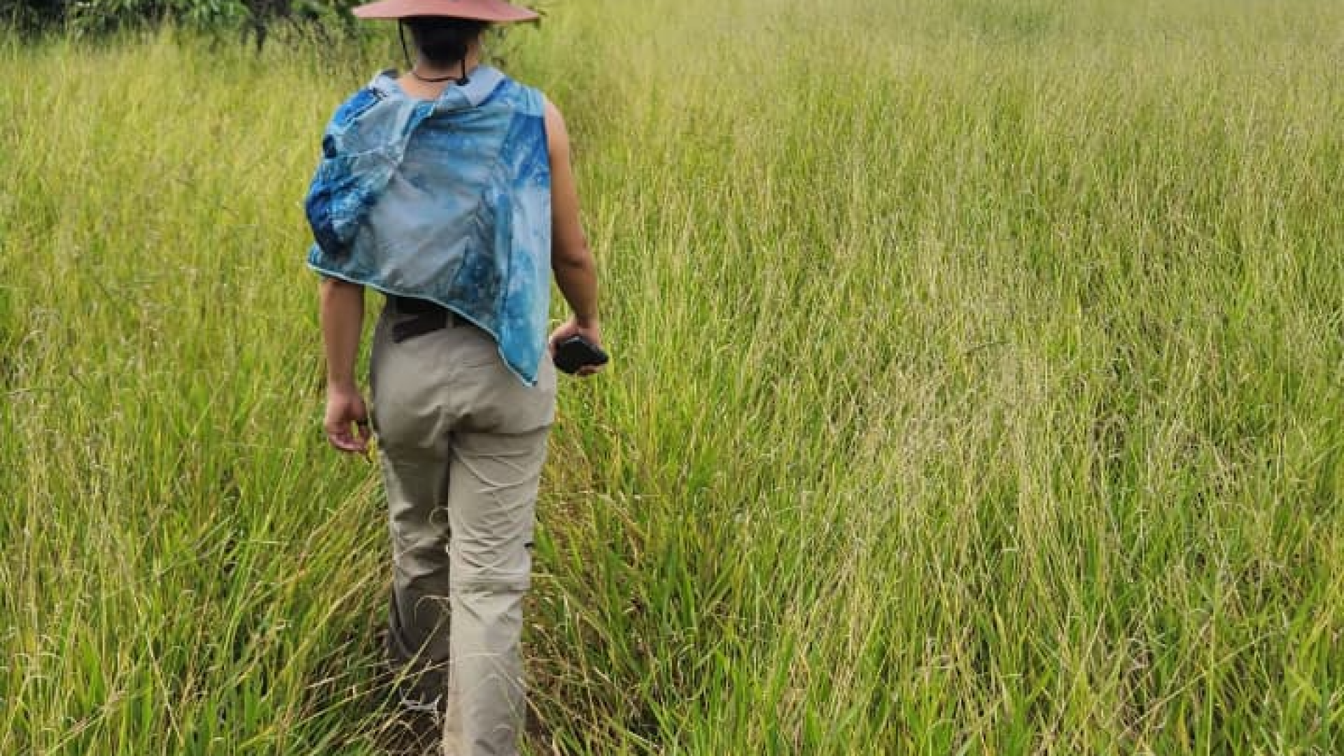 Inscrições abertas para comitê de trilhas ecológicas no DF