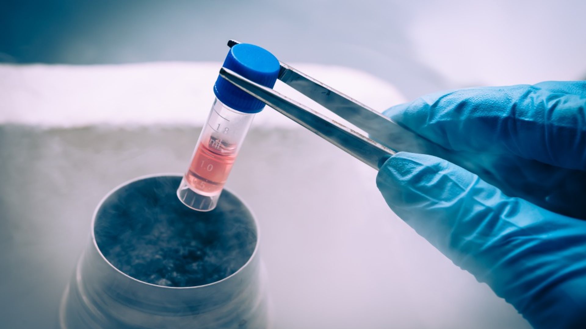 Workshop em Brasília debate produtos biológicos e biossimilares