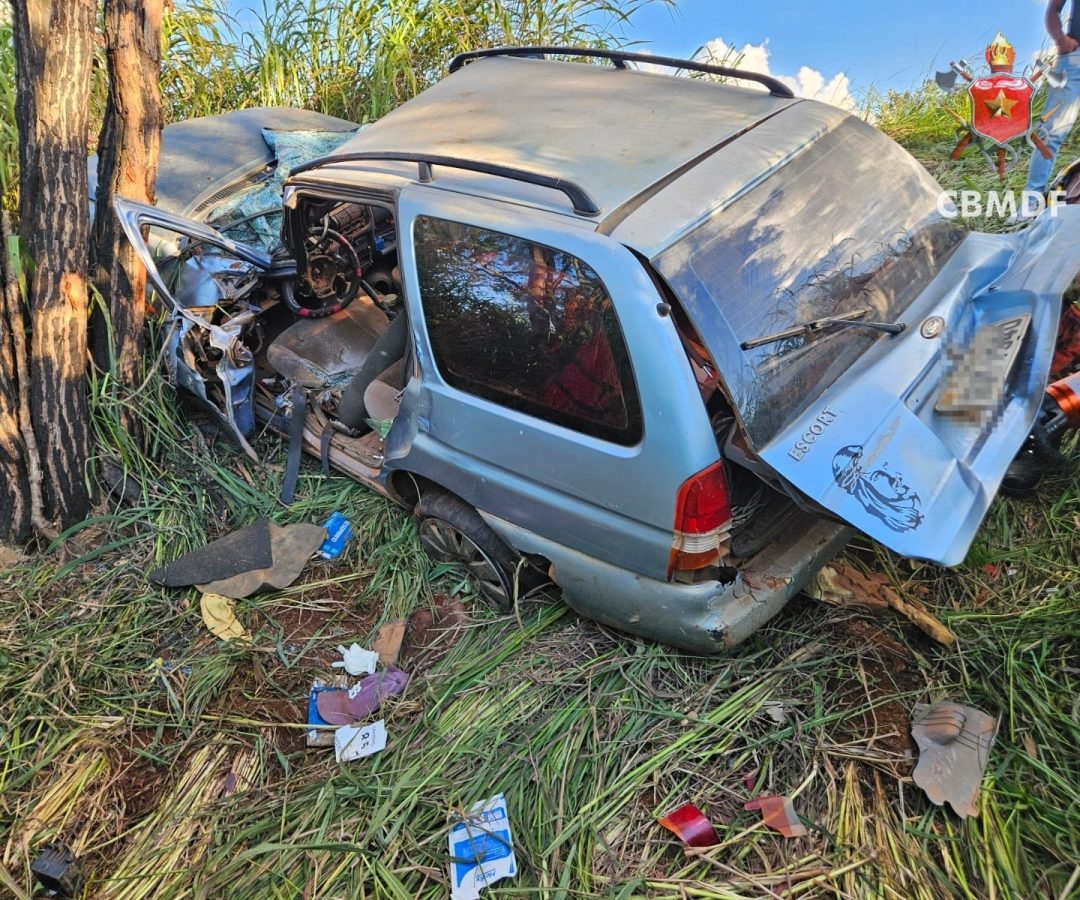 Carro bate em árvore e deixa dois feridos no Paranoá