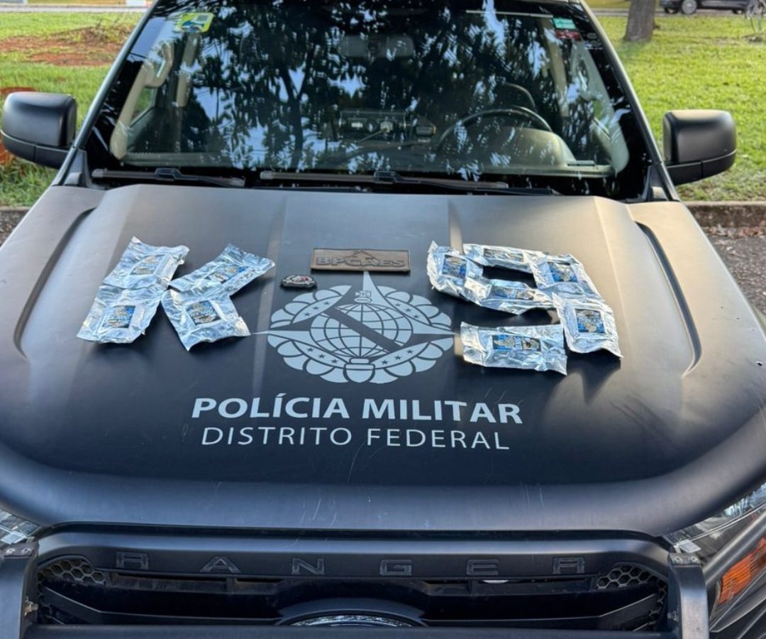 Cão farejador da PMDF intercepta droga avaliada em R$ 100 mil na Rodoviária Interestadual