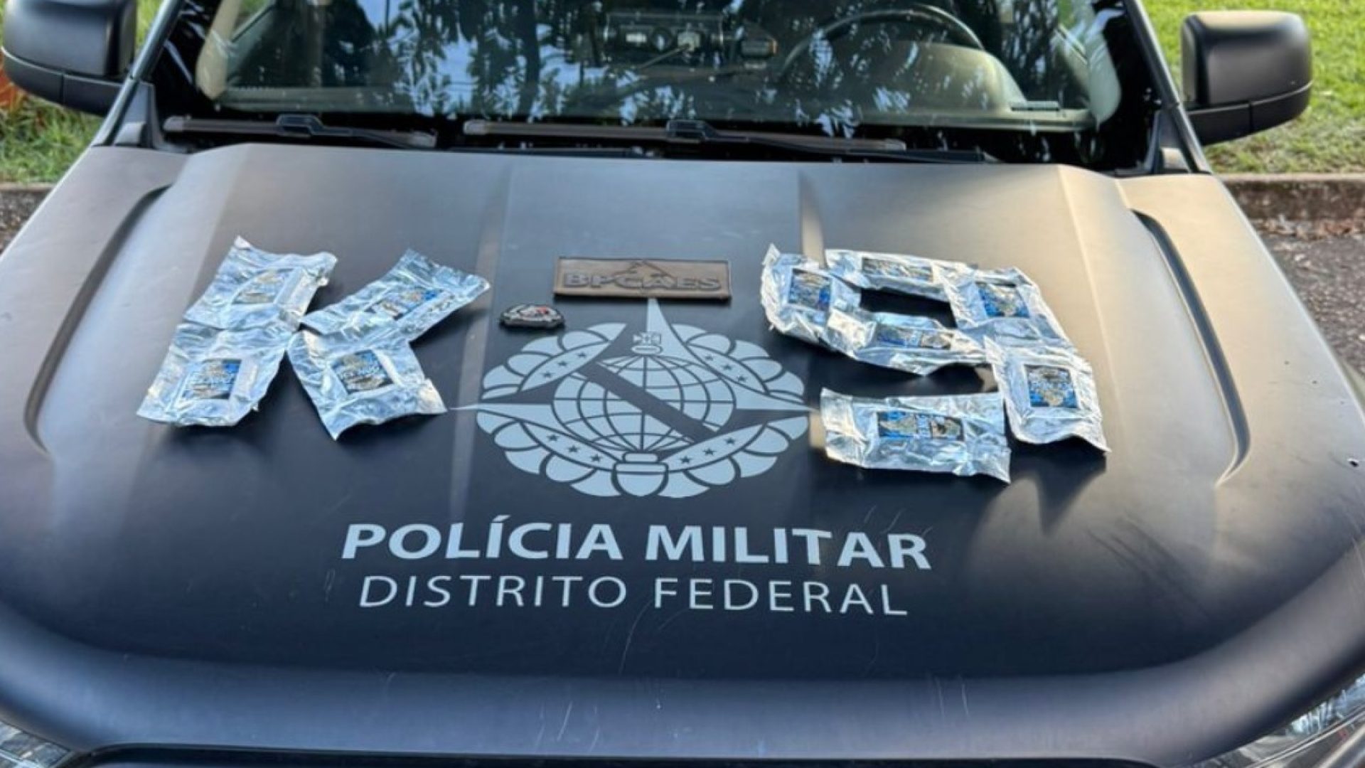 Cão farejador da PMDF intercepta droga avaliada em R$ 100 mil na Rodoviária Interestadual