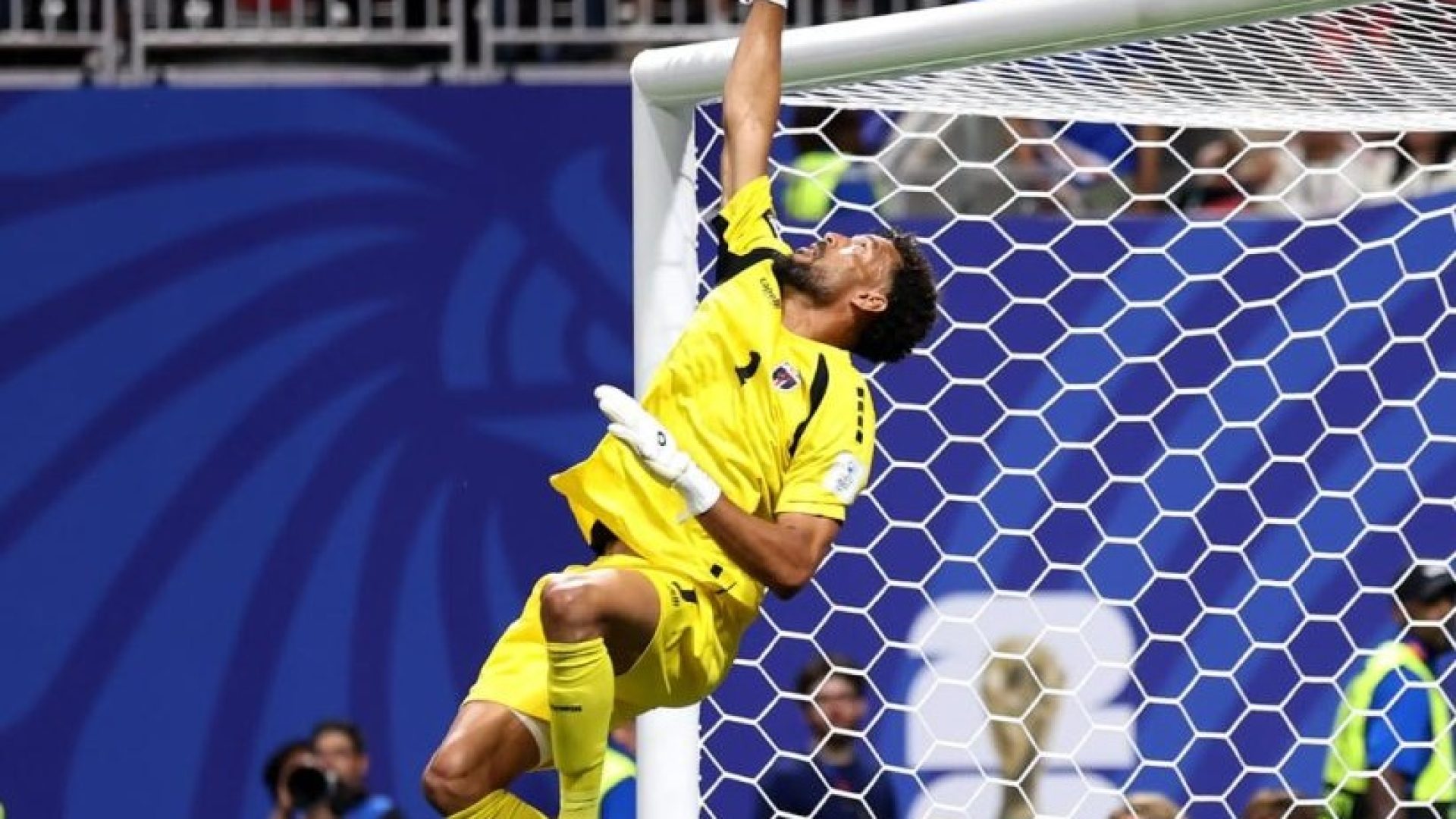 Vozinha rouba a cena e vira a grande sensação da Copa do Mundo