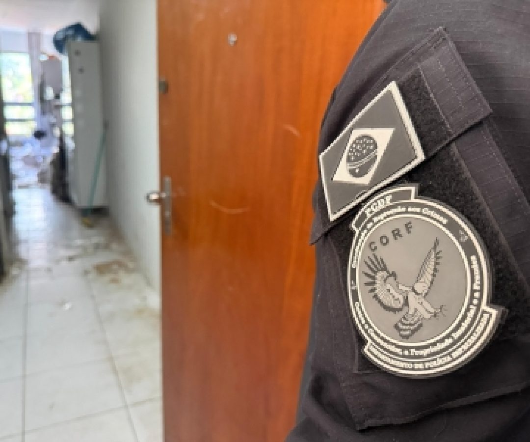 PCDF deflagra nova fase da Operação Shadow Shark