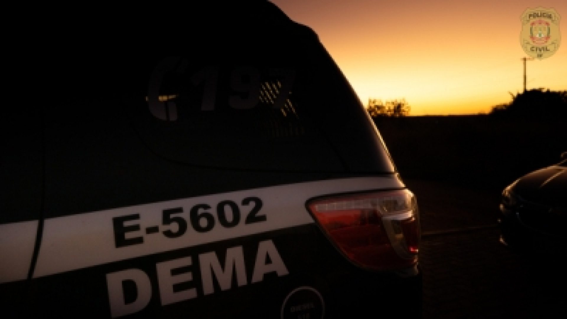 PCDF prende quatro homens por crime ambiental