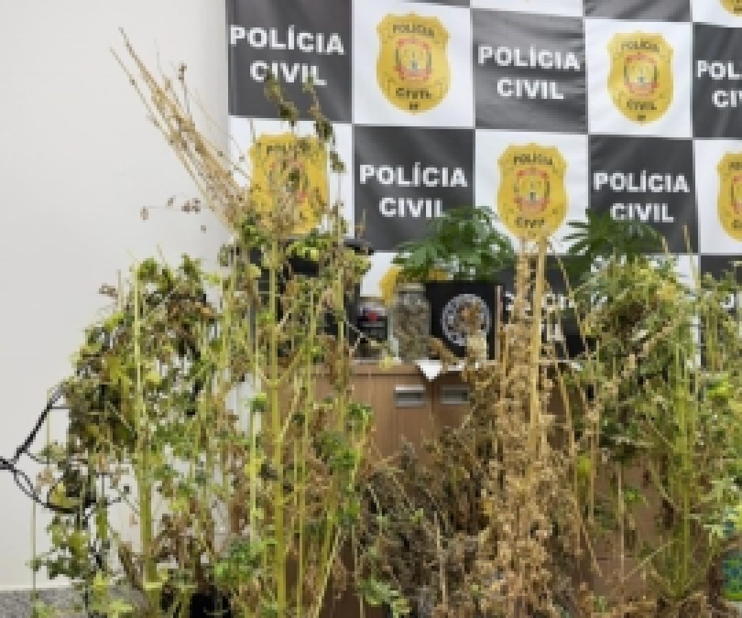 PCDF prende homem por tráfico de drogas em Taguatinga/DF