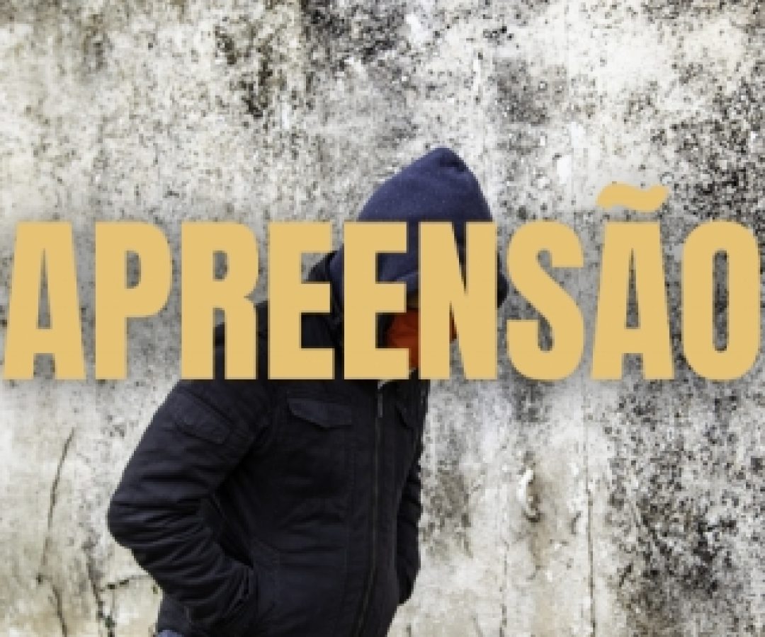 DCA 1 cumpre mandado de busca e apreensão de adolescente no DF