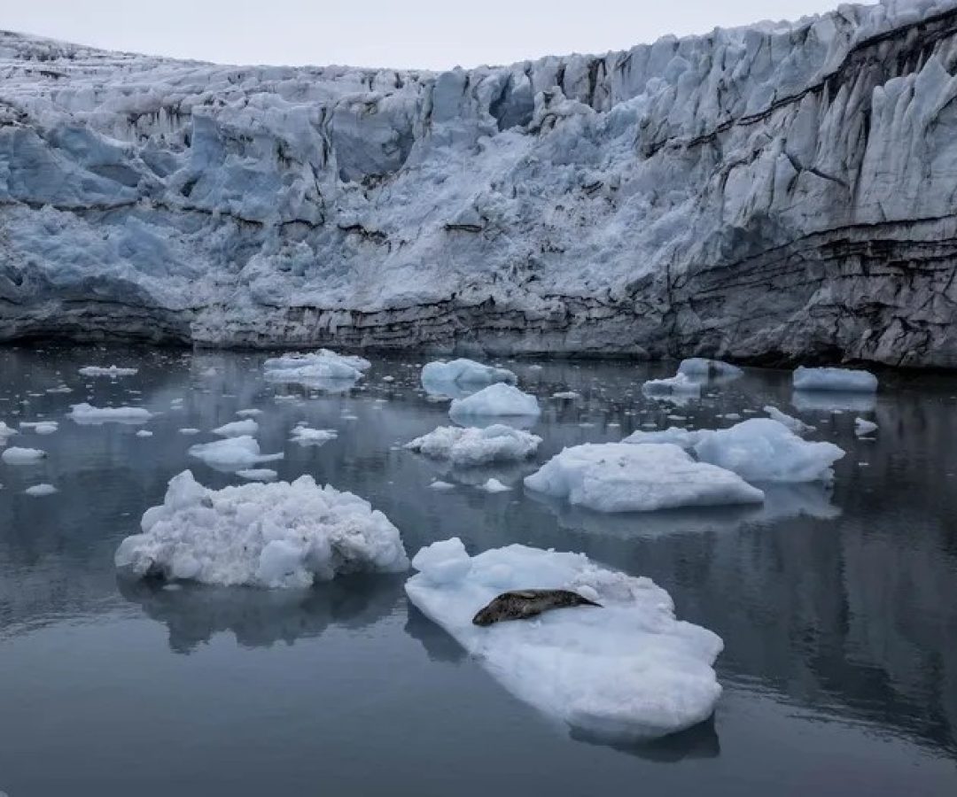 afp-20240128-34gz2e4-v2-highres-antarcticacolombiaenvironmentclimatesciencerese.jpg