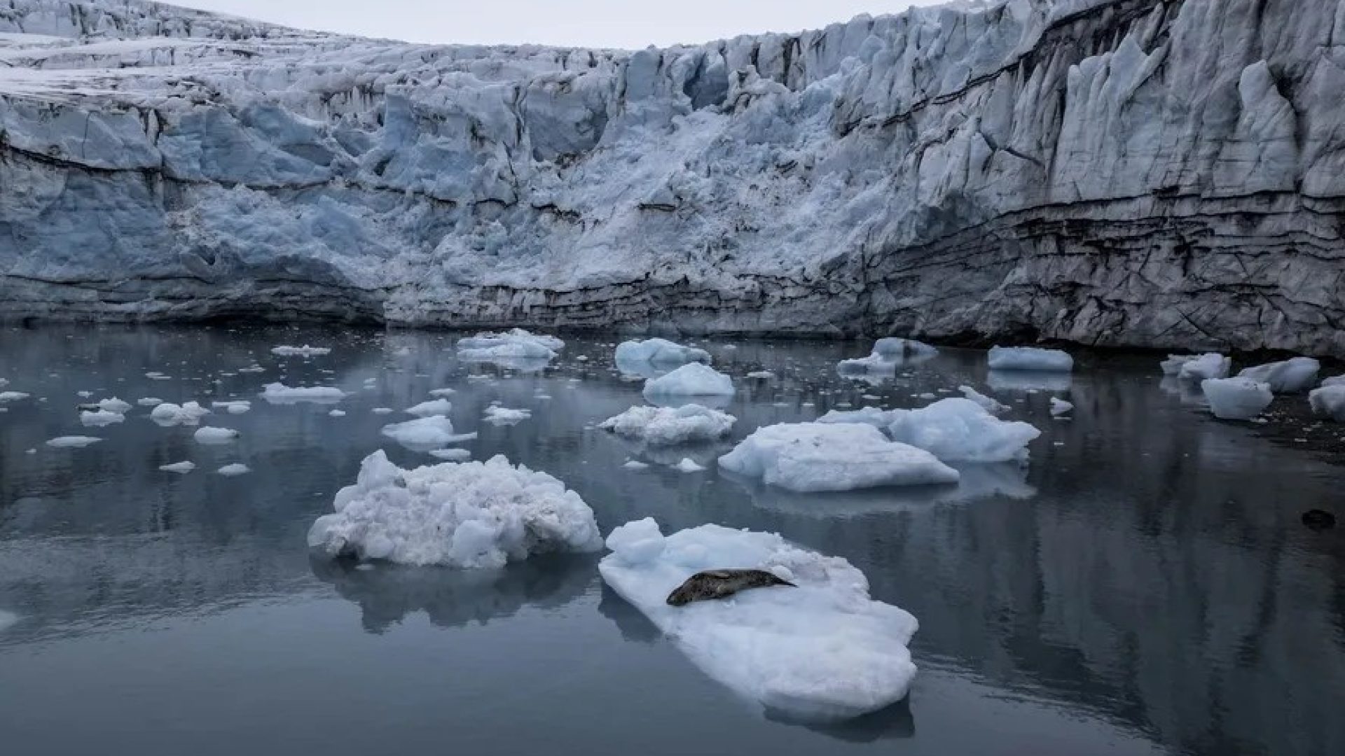 afp-20240128-34gz2e4-v2-highres-antarcticacolombiaenvironmentclimatesciencerese.jpg
