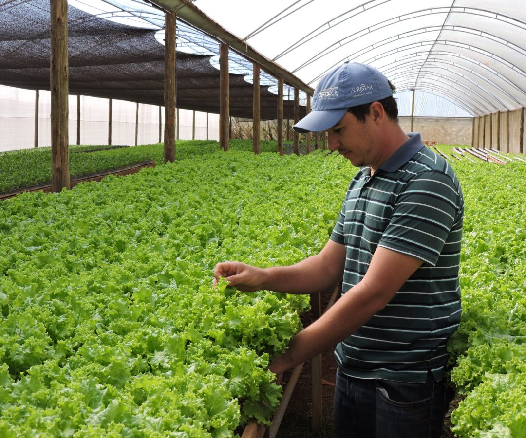 Emater-DF divulga relatório de produção agropecuária de 2025