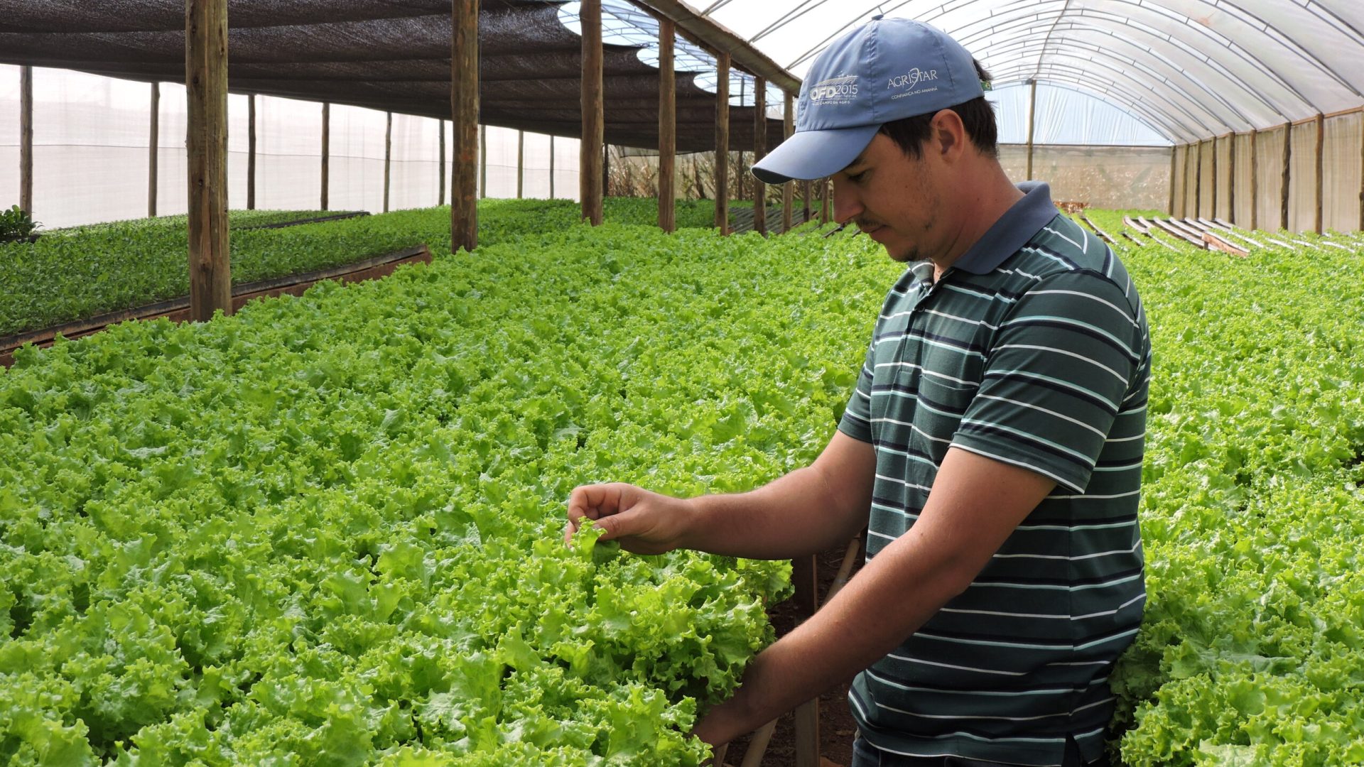Emater-DF divulga relatório de produção agropecuária de 2025