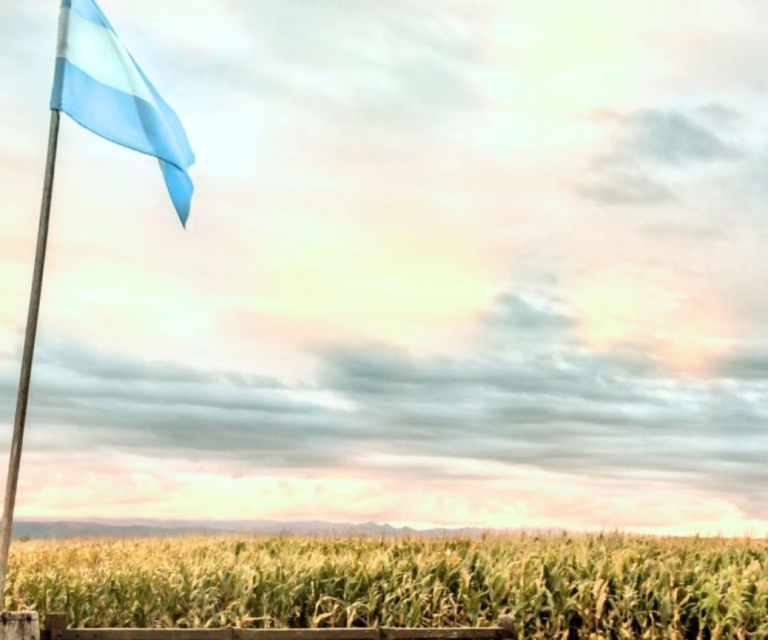 "Cisne Negro" no Agro da Argentina Ameaça se Tornar Uma Mancha Venenosa