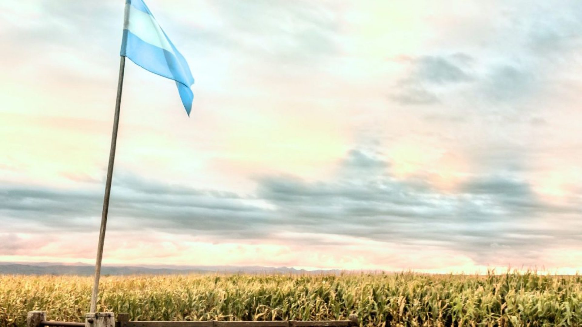 "Cisne Negro" no Agro da Argentina Ameaça se Tornar Uma Mancha Venenosa