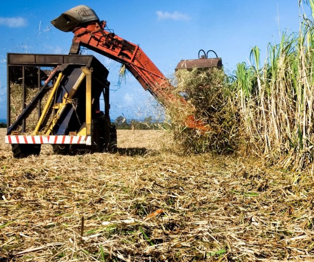Usina de Cana na Argentina quer ser Como as Brasileiras para Movimentar US$ 2 bi