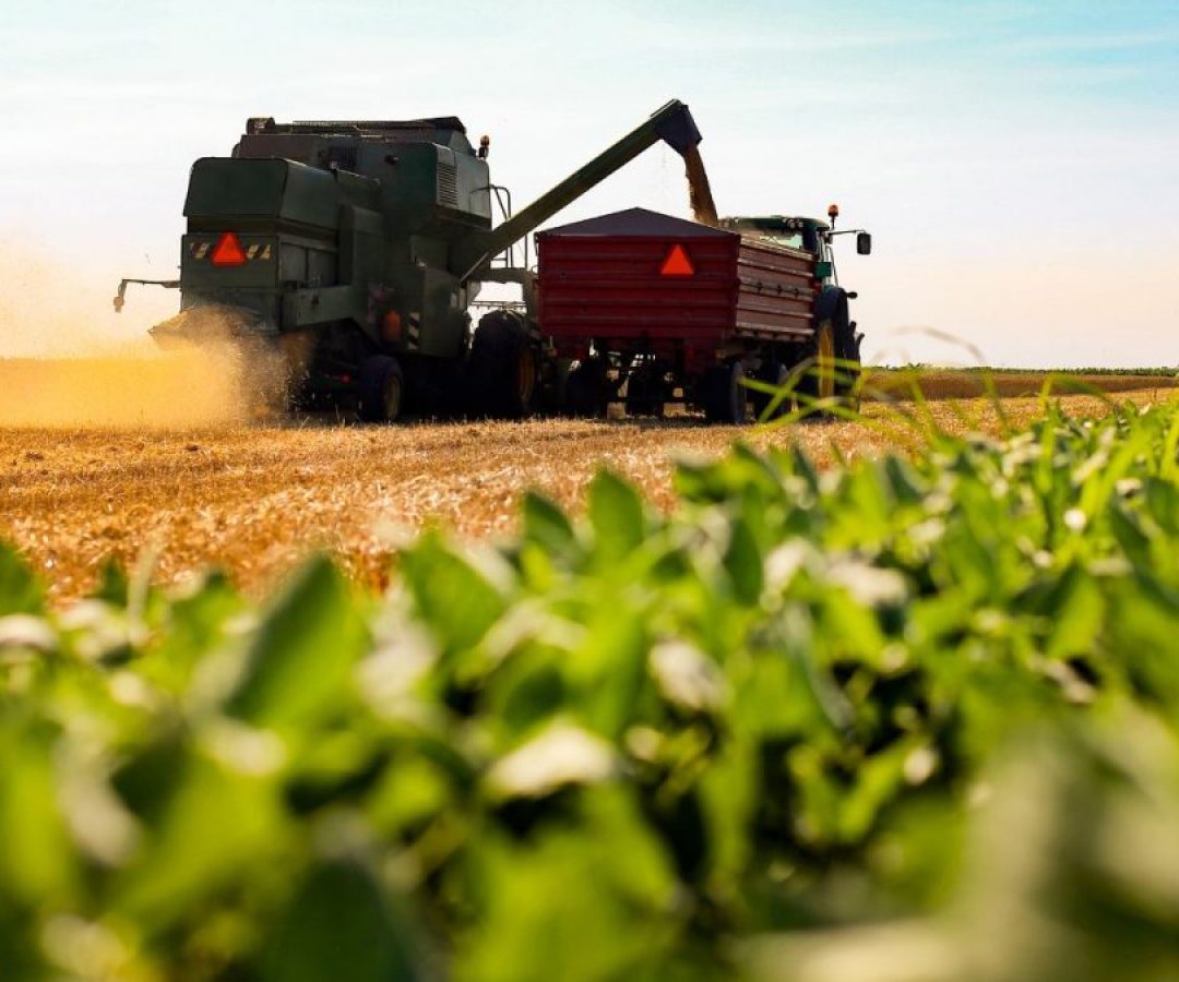 País Verá Desaceleração nos Preços dos Alimentos e Alta do PIB Agro em 2025, diz CNA