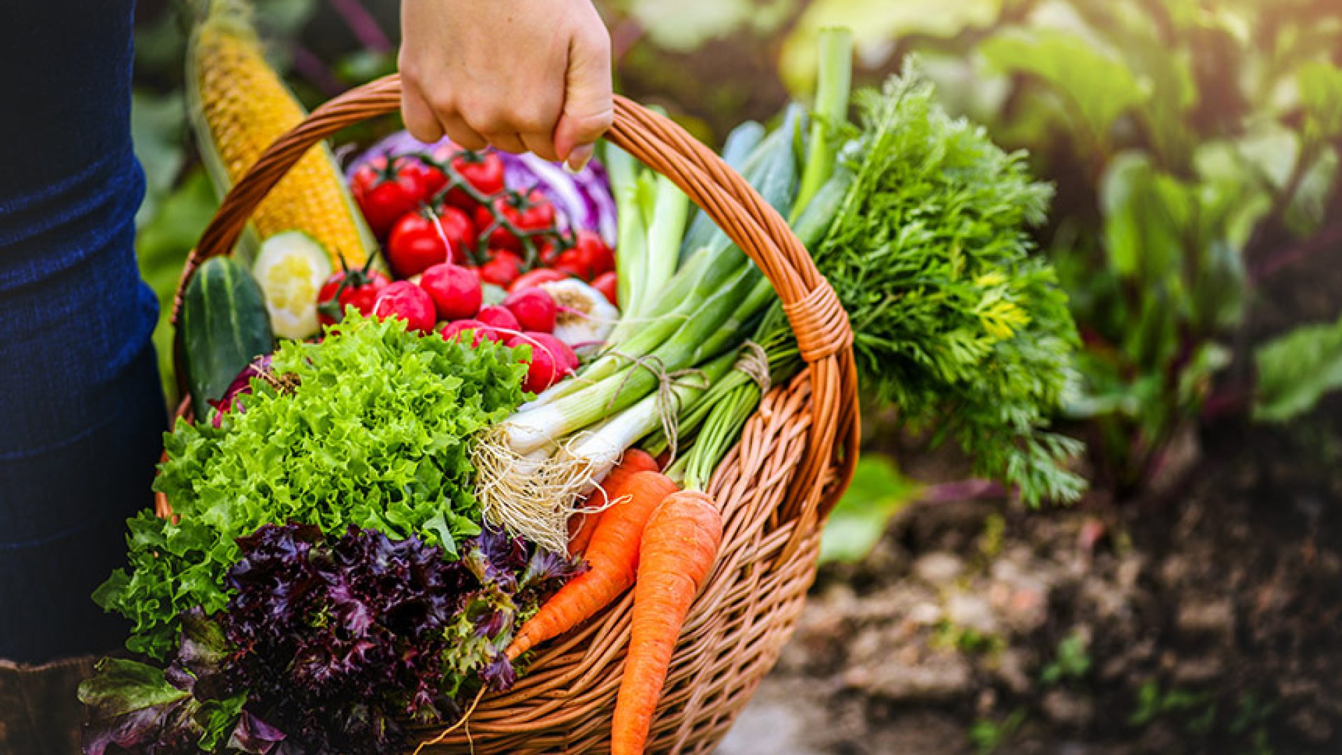 CRA vota projeto para facilitar doação de alimentos e combater desperdício — Senado Notícias