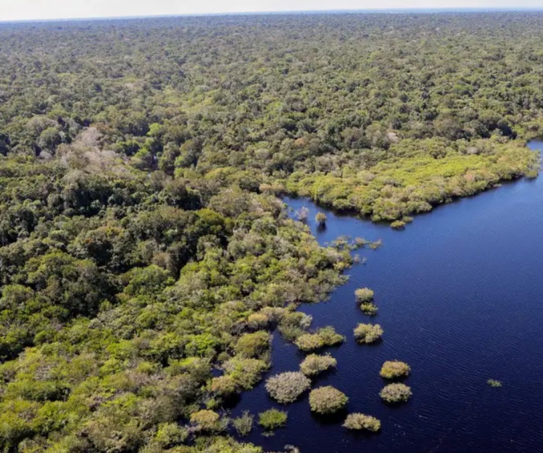 bioinsumos atraem empresas à região, mas violência e clima limitam expansão