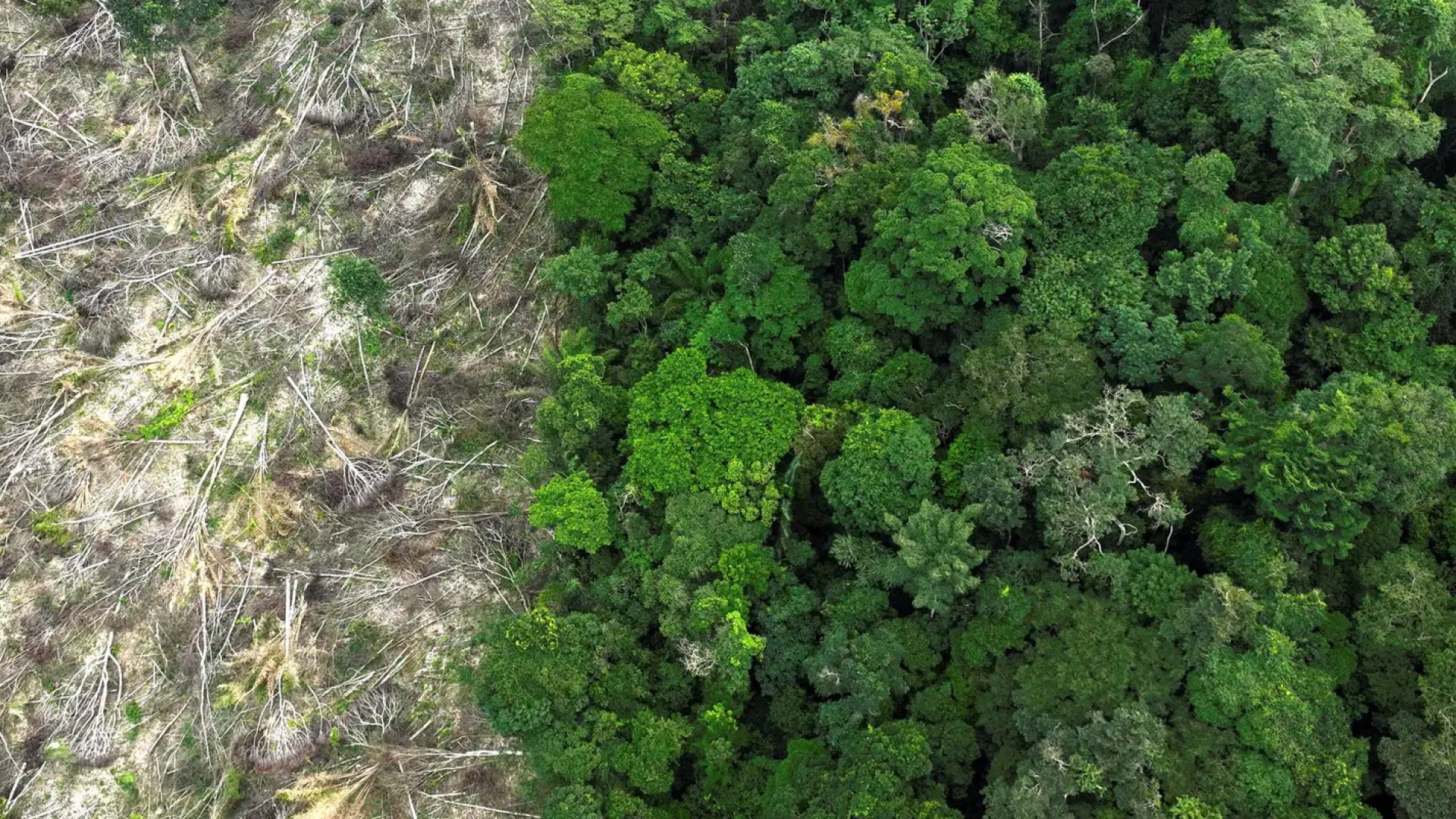 Municípios gastaram R$ 732 bilhões com desastres entre 2013 e 2024