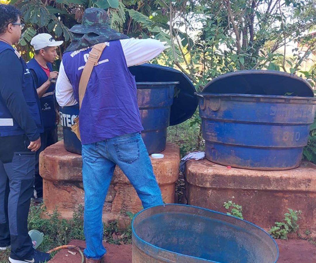 Chikungunya: entenda doença que preocupa Mato Grosso do Sul