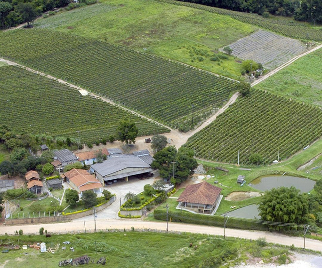 Projeto cria Sistema Nacional de Geocercas Rurais para segurança no campo — Senado Notícias