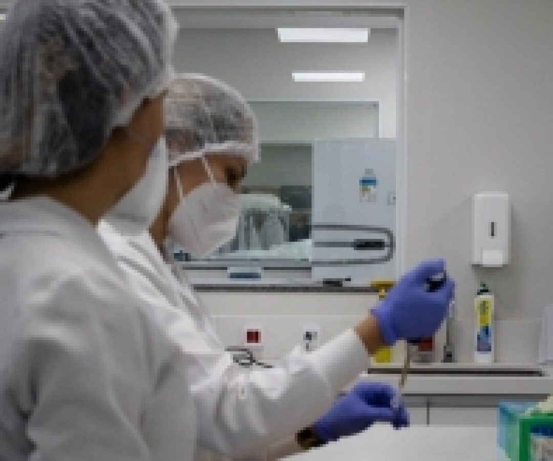 O Sistema de Gestão de Qualidade do IPDNA
