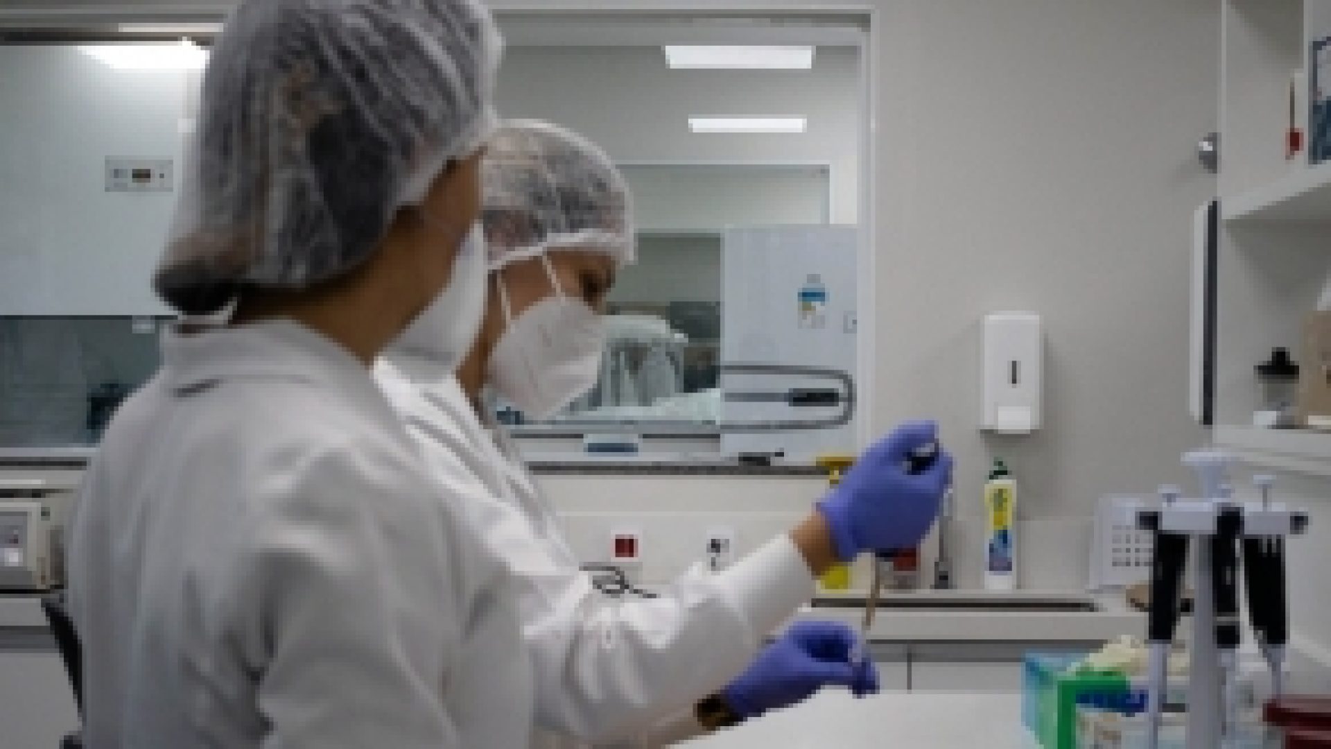 O Sistema de Gestão de Qualidade do IPDNA