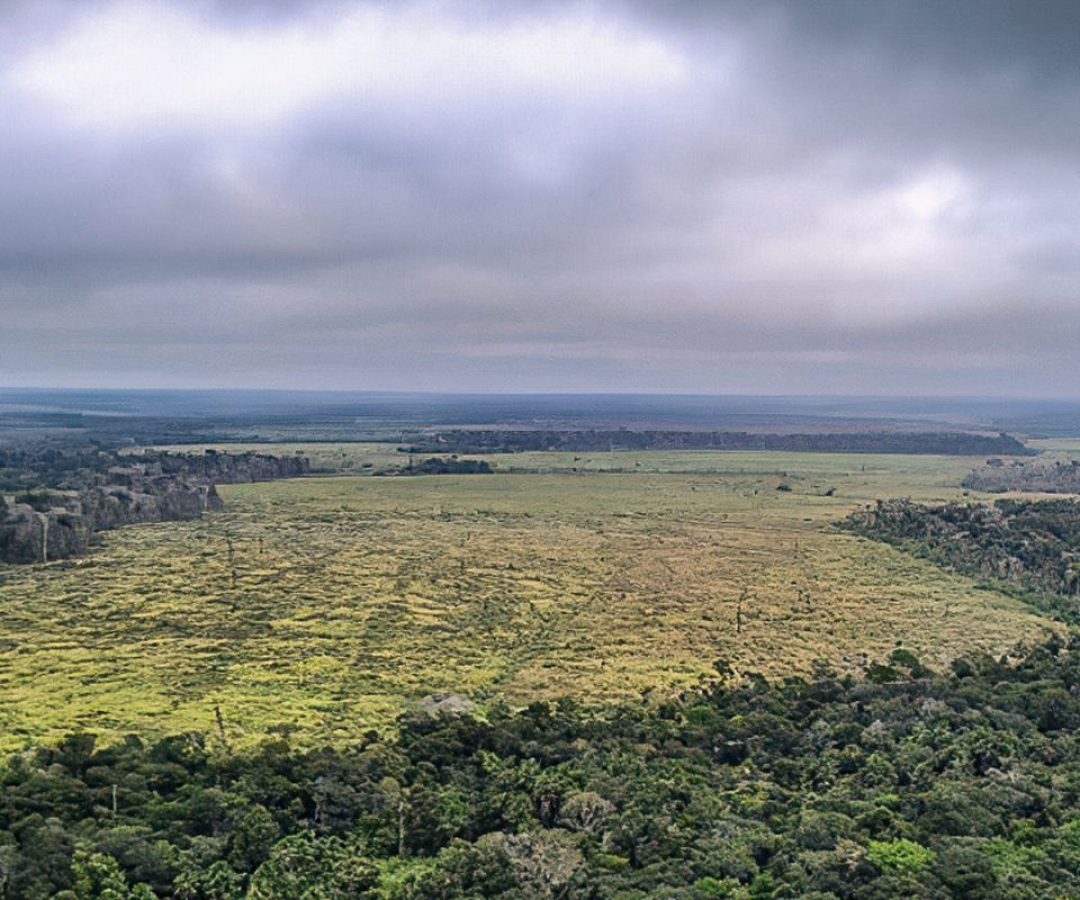 Governo defende manutenção de vetos à lei do licenciamento ambiental
