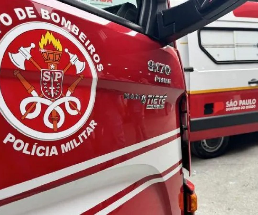 CBMDF abre cadastro para novas famílias socializadoras e entrega cães de assistência treinados