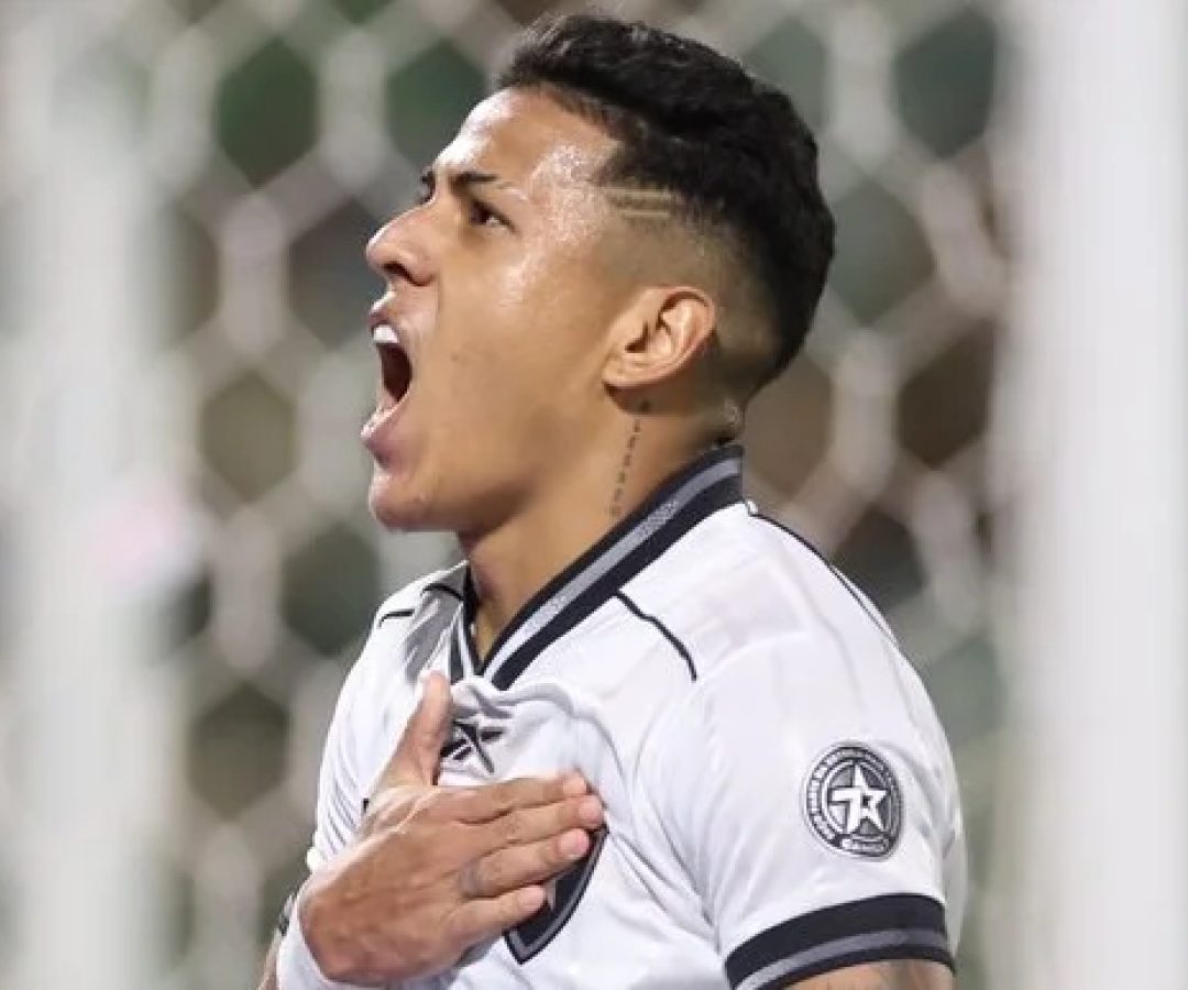 Botafogo goleia a Chapecoense