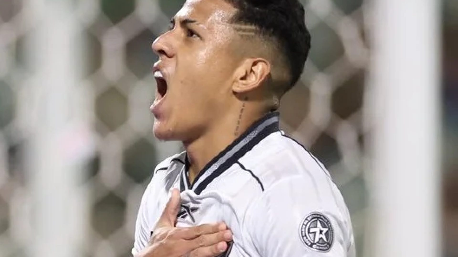 Botafogo goleia a Chapecoense