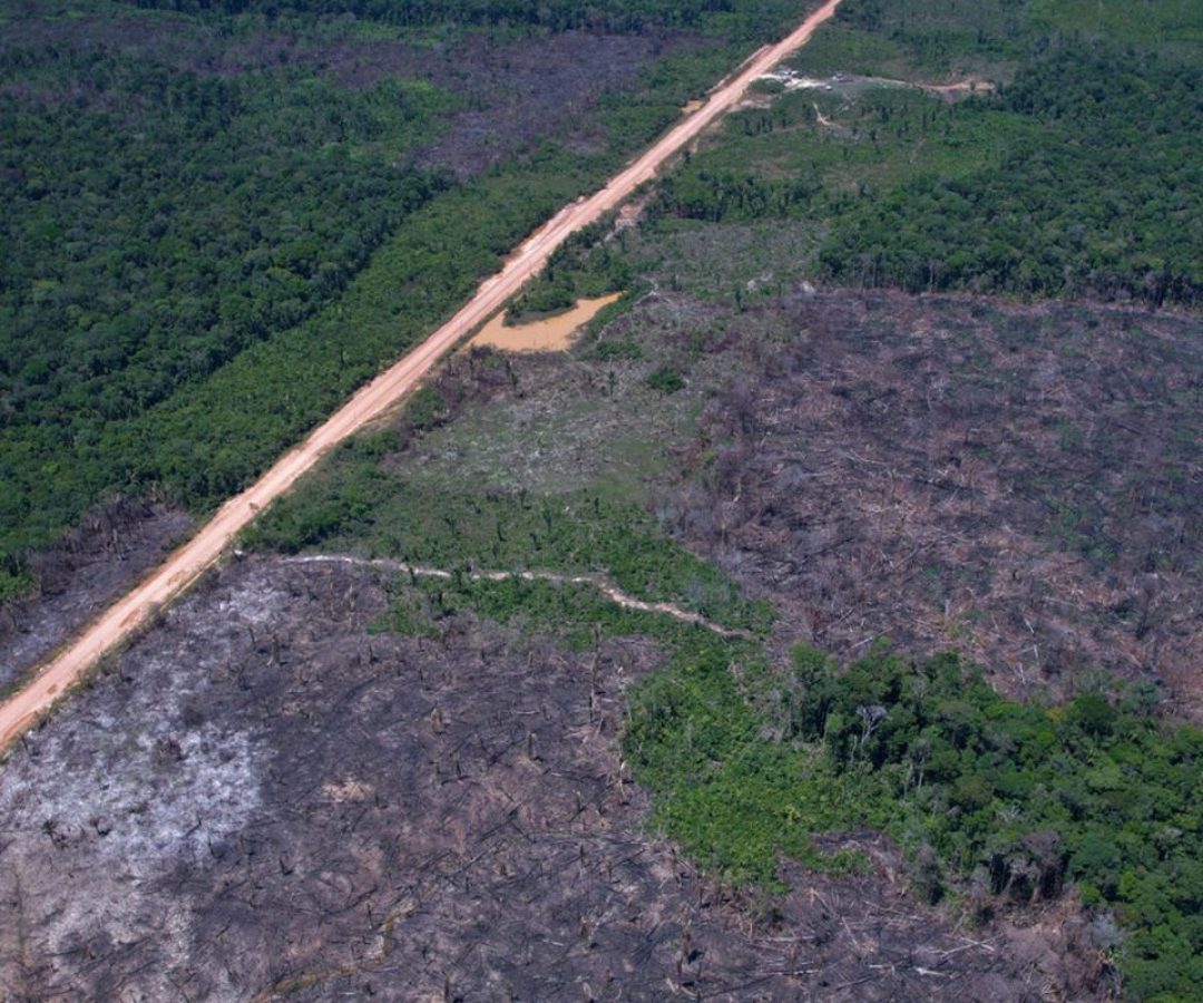 Alertas de desmatamento caem 35% na Amazônia e 6% no Cerrado