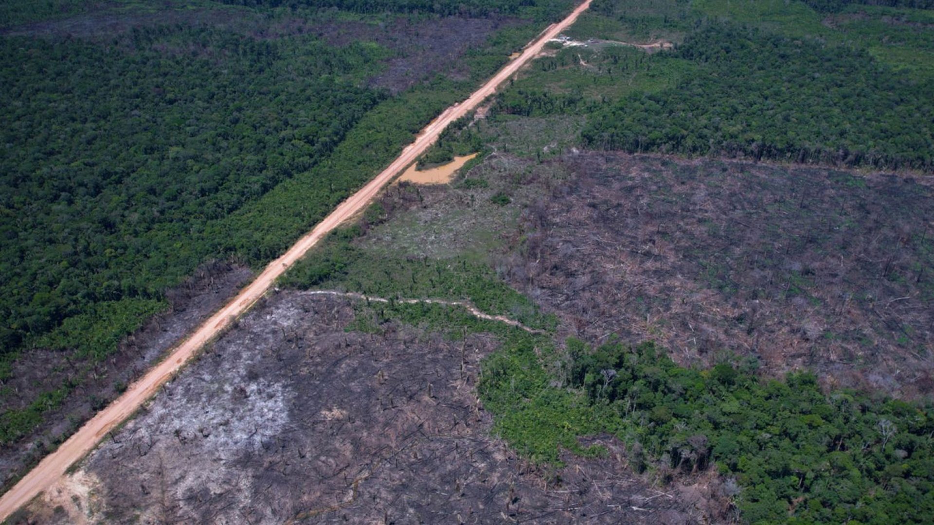 Alertas de desmatamento caem 35% na Amazônia e 6% no Cerrado