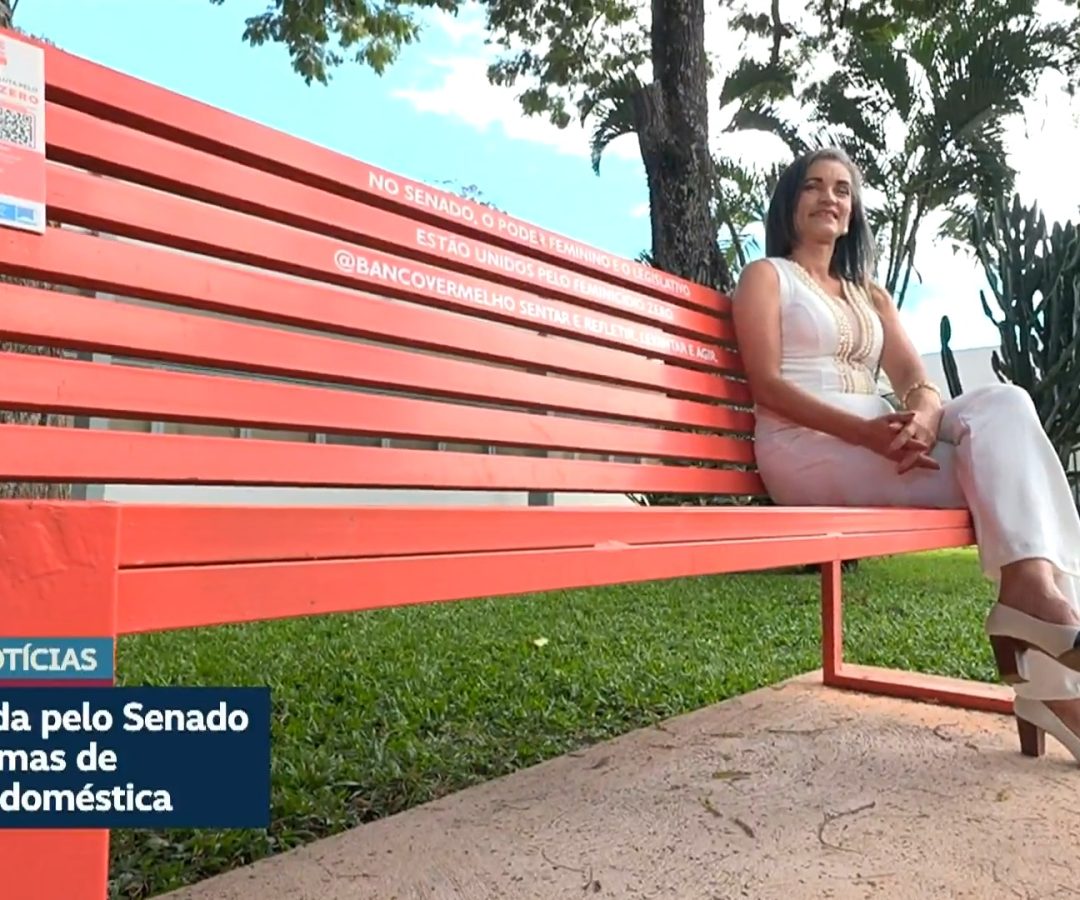 Vídeo: Senado criou há 10 anos cotas para vítimas de violência doméstica