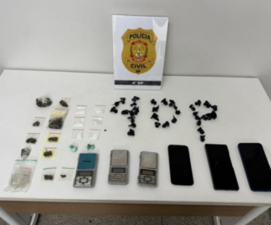 4ª DP deflagra Operação Arerê