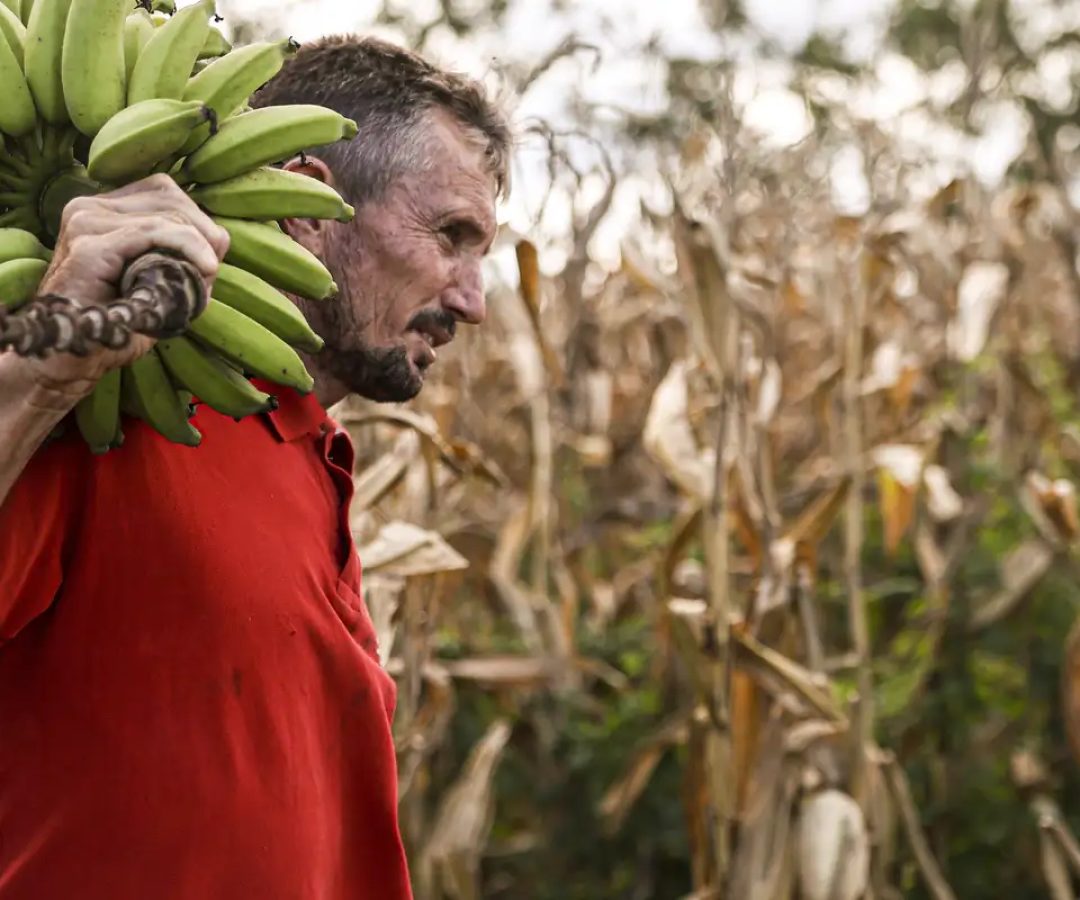 Câmara aprova uso de recursos do FGO em operações do Pronaf