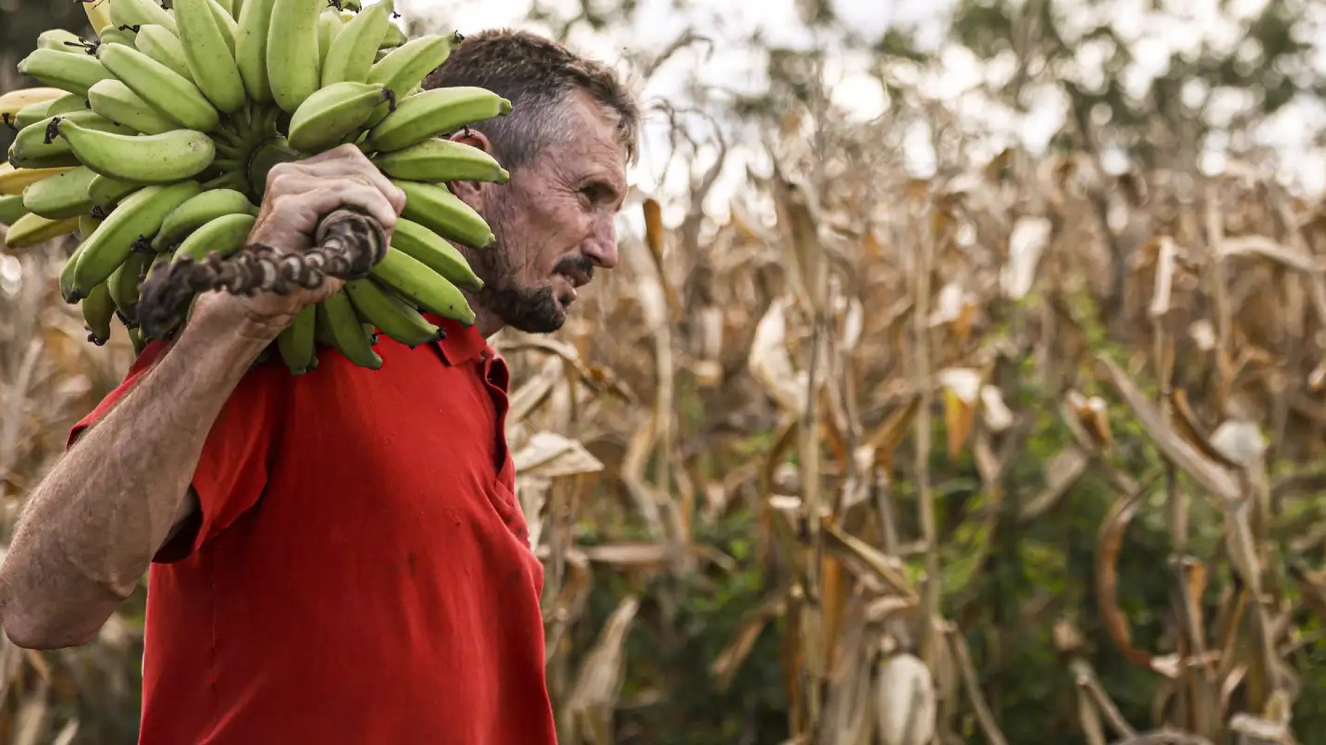 Câmara aprova uso de recursos do FGO em operações do Pronaf