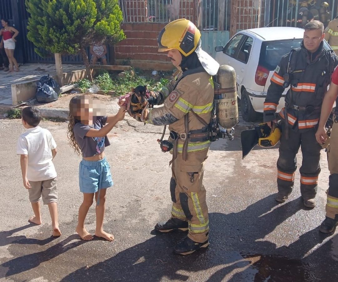 Bombeiros resgatam cão durante incêndio em residência na Samambaia