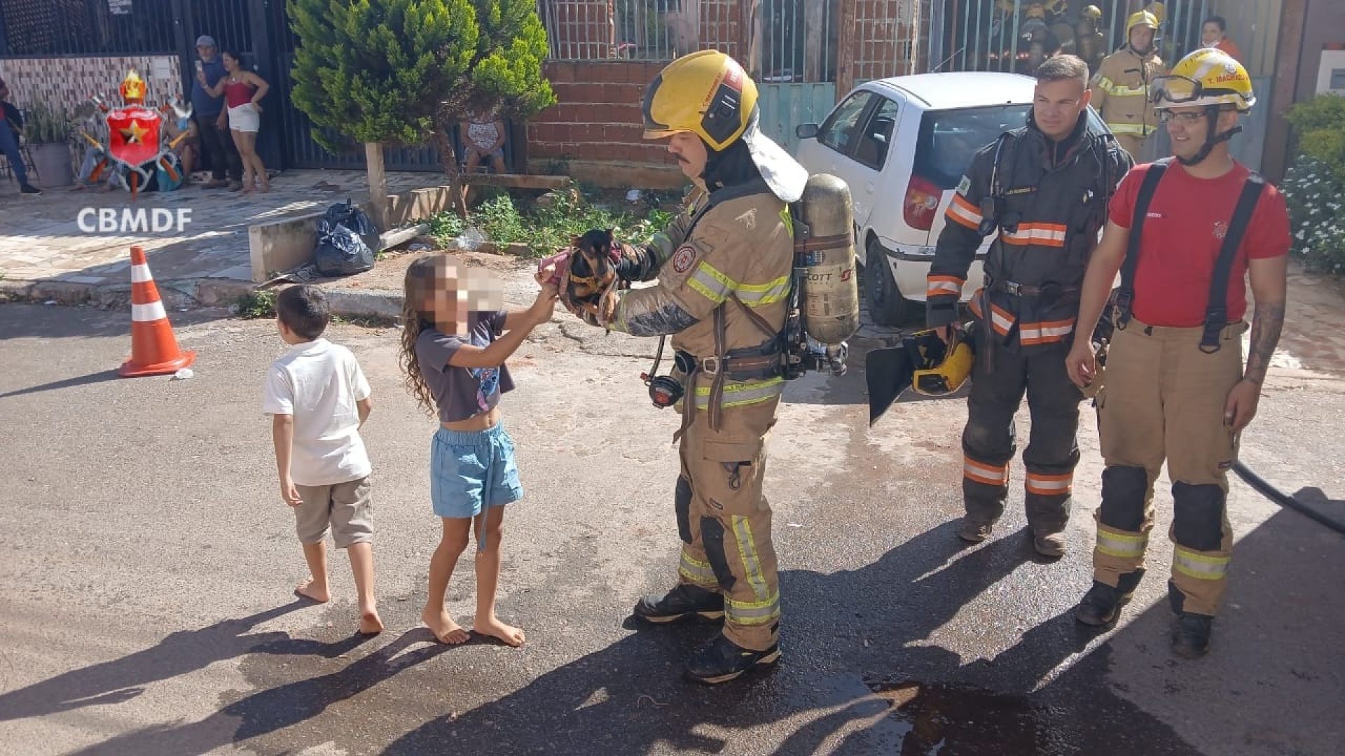 Bombeiros resgatam cão durante incêndio em residência na Samambaia