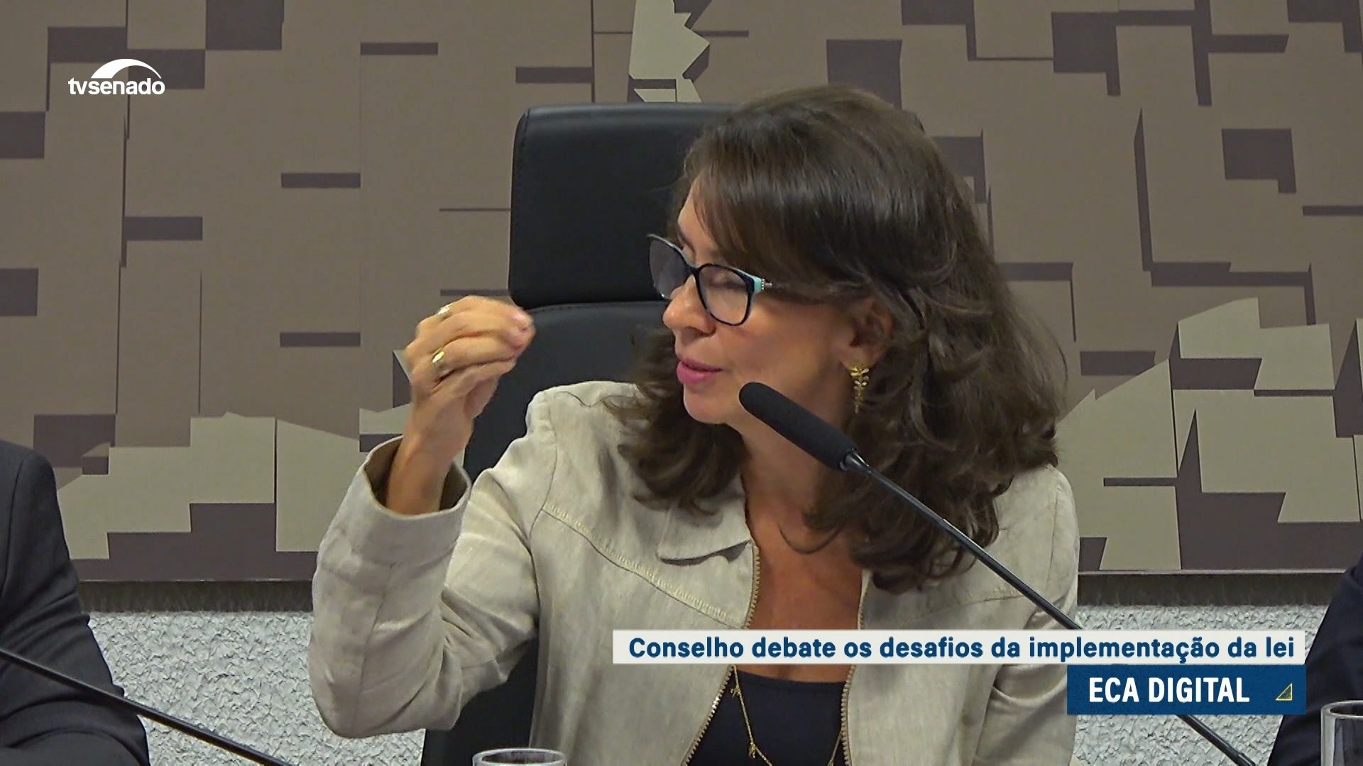 Conselho de Comunicação Social destaca importância da implementação do ECA Digital — Senado Notícias
